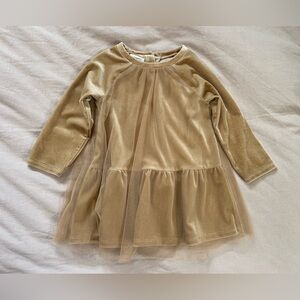 First Impressions Tan Velvet Dress